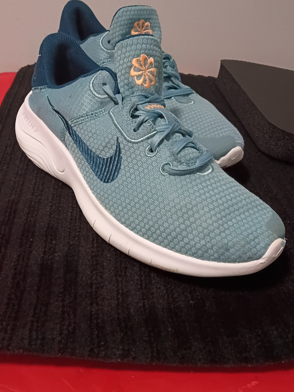 Nike-Flex Experience Run 12 Men's Teal Running Shoes - Lightweight Comfort
